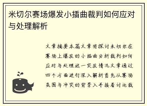 米切尔赛场爆发小插曲裁判如何应对与处理解析